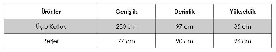 Goktug-Koltuk-Takimi